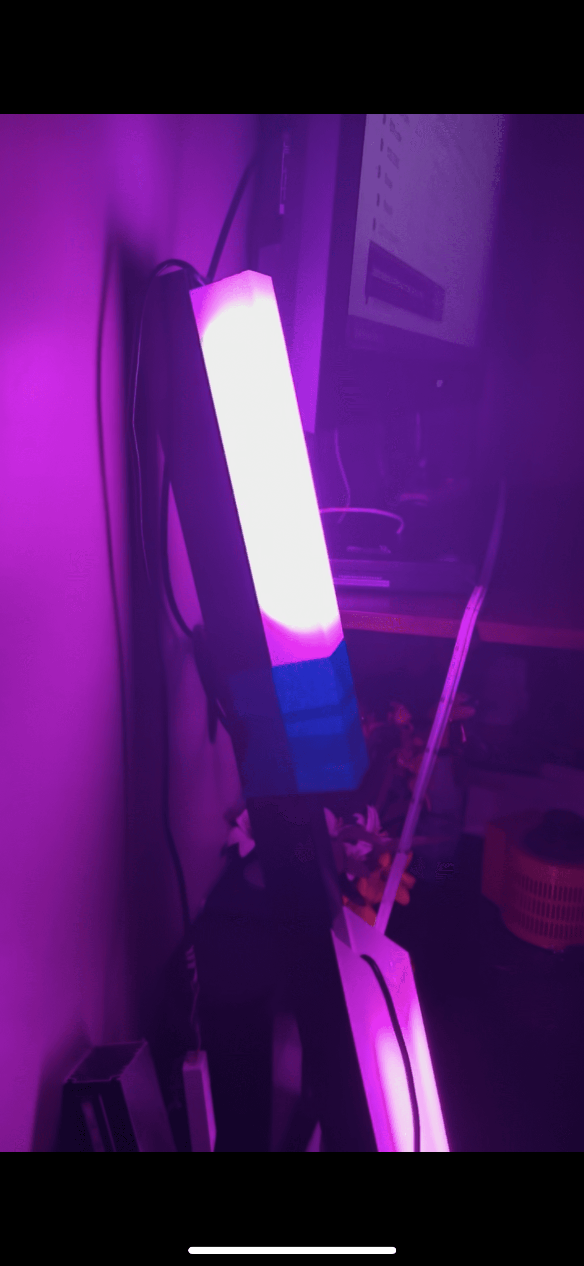 Lanai Bright Prototypes