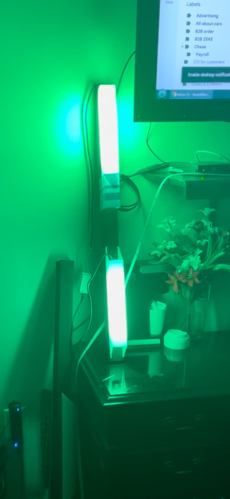 Lanai Bright Final Installation